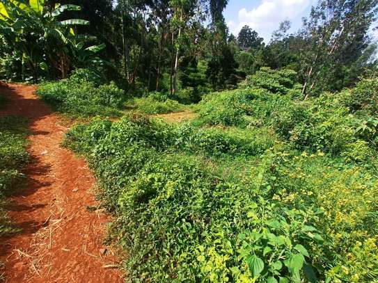 0.83 ac Land in Kitisuru image 5