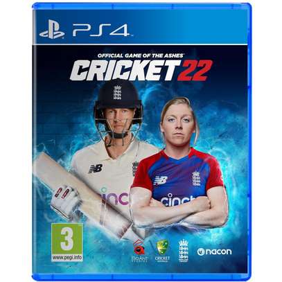 CRICKET 22 - THE OFFICIAL GAME OF THE ASHES (PS4) image 1
