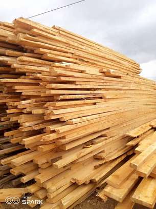Roofing timber suppliers(Cypress&bluegum) image 3