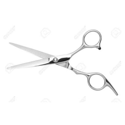 6" Professional Hair Cutting Scissor image 1