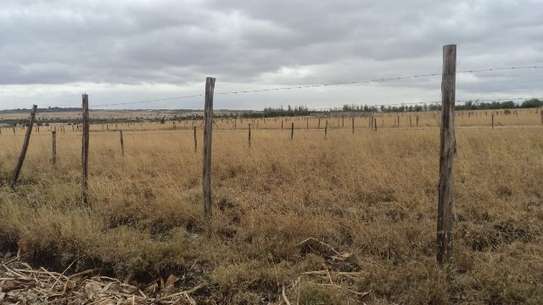 0.25 ac residential land for sale in Isinya image 2