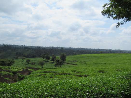 Blocks of Land For Sale in Cianda Area, Kiambu image 6