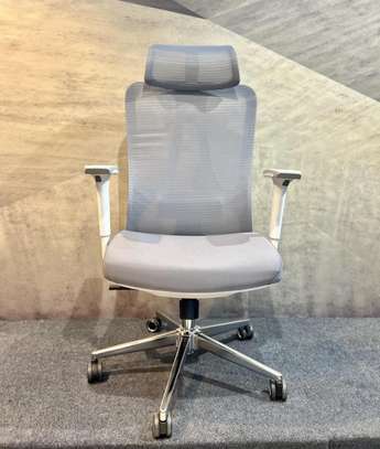 High Back Chair: Orthopedic Executive Chair image 5