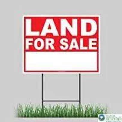 100 × 100 plot in prime area in Migori county image 2