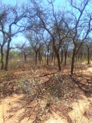 64 acres along Makindu-Wote Road Makueni County image 8