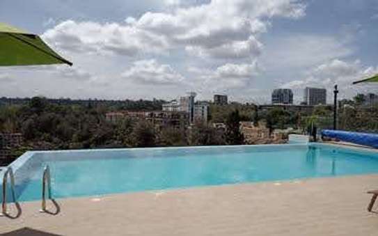 Furnished 3 Bed Apartment with En Suite in Rhapta Road image 9