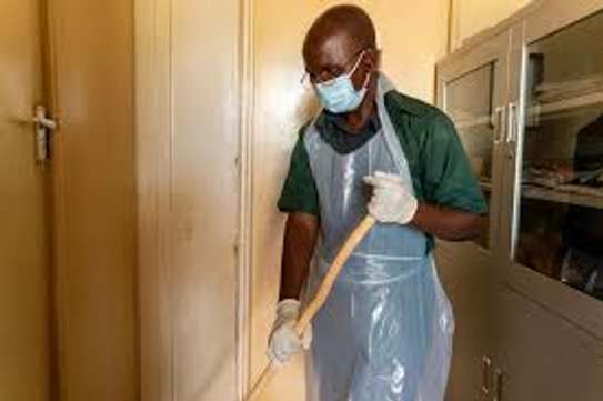 House Cleaning Services In Westlands-Professional & Reliable image 2