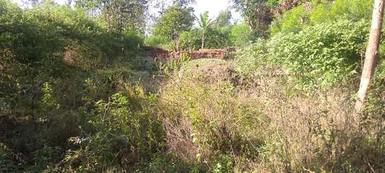 1/4 acre for sell in Busia county,teso south image 3