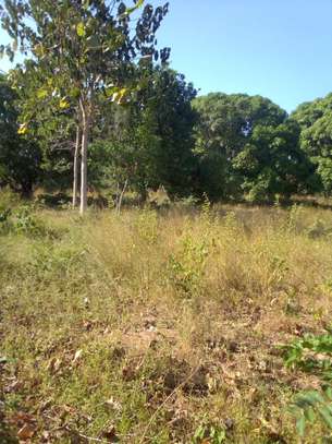 10 Acres Available For Sale in Malindi image 4