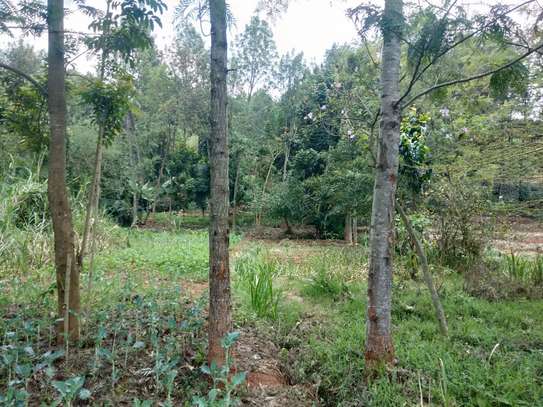 Residential Land at Fronting Limuru Road image 13