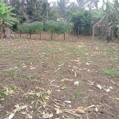 40*80ft plots for sale at Makuyu near Makuyu Teachers c image 3