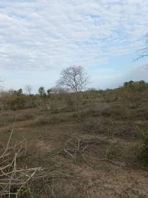 100 ac Commercial Land at Lungalunga image 3