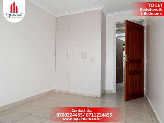 Executive 1 Bedrooms with Lift Access in Ruiru-Thika Rd. image 8
