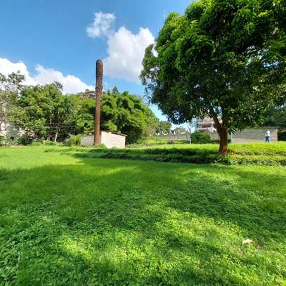 0.6 ac Residential Land at Peponi Gardens image 1