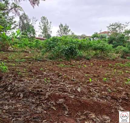 0.5 ac Residential Land at Muthaiga North image 7