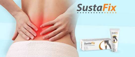 SustaFix Active Gel For Arthritis And Joint Pain Reliever image 2