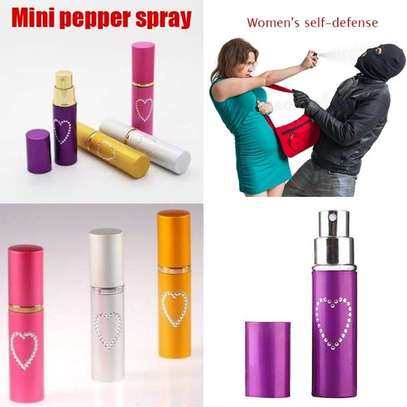 Lipstick self defence OC pepper spray aerosol spray image 1