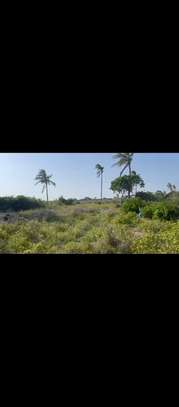 Land in Watamu image 13