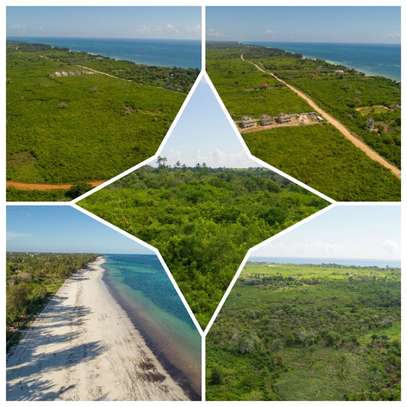 0.25 ac Residential Land at Diani Beach Road image 28