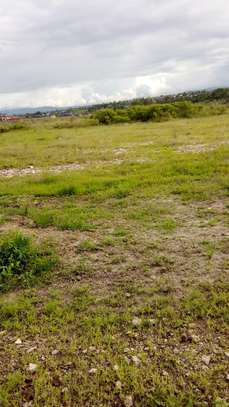 5,000 m² Residential Land at Malaa image 9