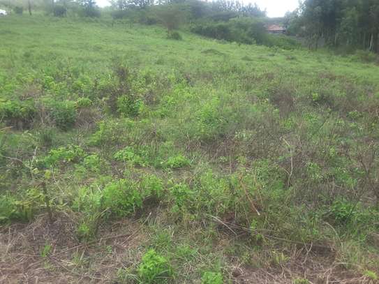 Beautiful one eighth plots in Ngong image 11