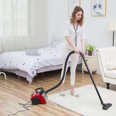 Household Vacuum cleaner image 1