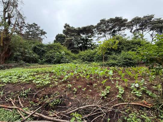 5 ac Land in Kitisuru image 2