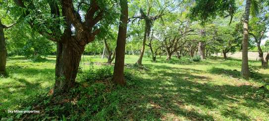 2.5 ac Land at Serena image 2