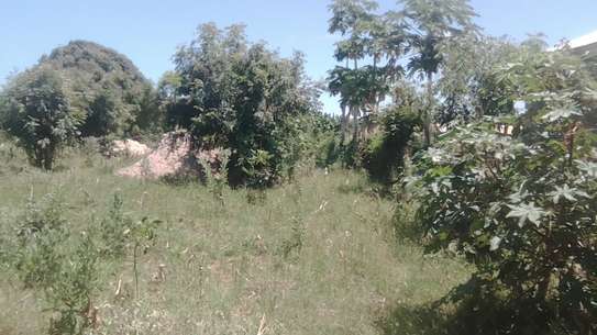 4 acres vacant land, Mapunga Witu, coast image 3