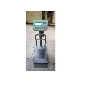 Heavy Duty TCS A12 Guard  Weighing Scale 300 Kgs image 1