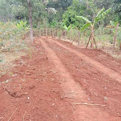 50x100ft plots for sale at Makuyu in Murang'a county image 7