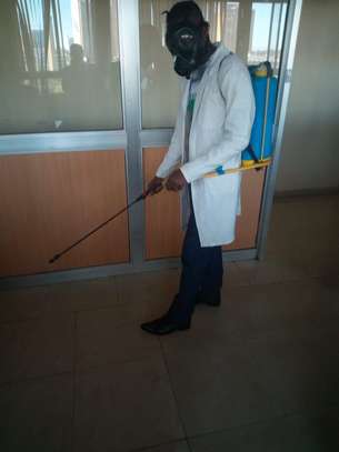 ELLA BEDBUG,COCKROACHES, RATS, MOSQUITOES & TERMITES FUMIGATION & PEST CONTROL SERVICES image 2