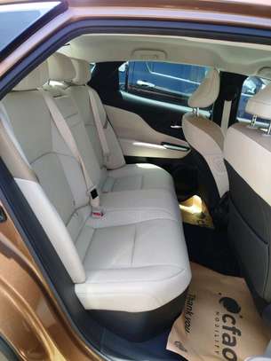 Crown new shape image 8