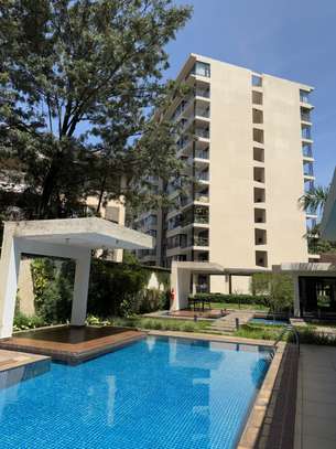 Serviced 2 Bed Apartment with En Suite in Lavington image 14