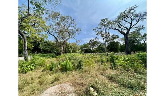 Residential Land in Diani image 4