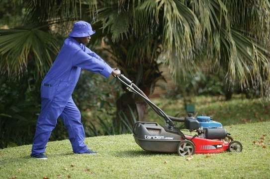 Expert Lawn Mowing & Garden Maintenance Limuru Tigoni image 2