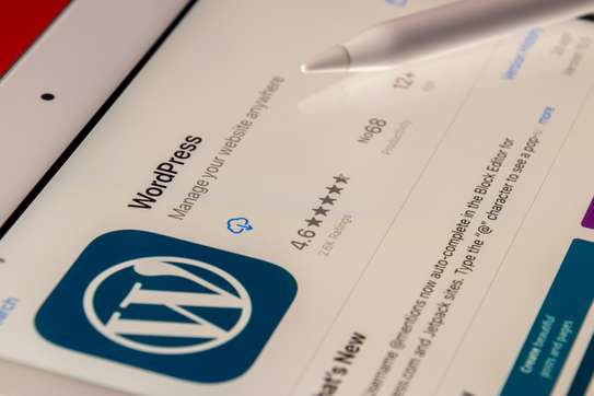 WordPress, web development and web vulnerability assessment image 2