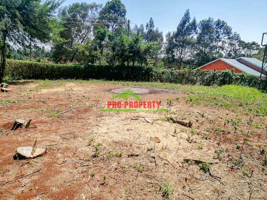 0.05 ha Residential Land at Ondiri image 17