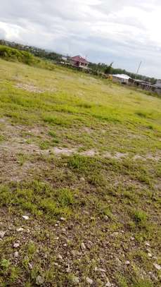 5,000 m² Residential Land at Malaa image 6