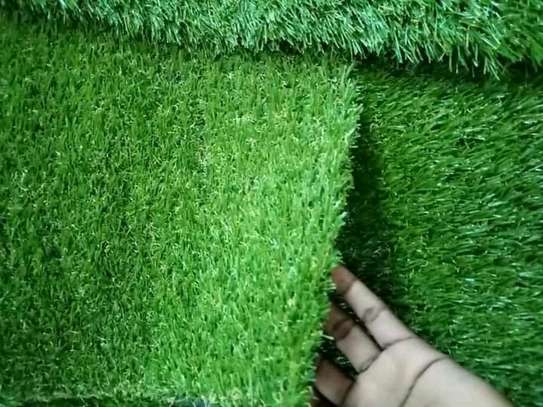 Affordable Grass Carpets -4 image 3