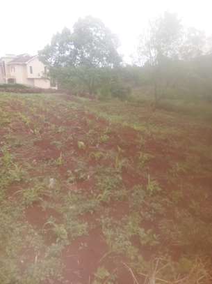 Residential Land In Kiambu image 1