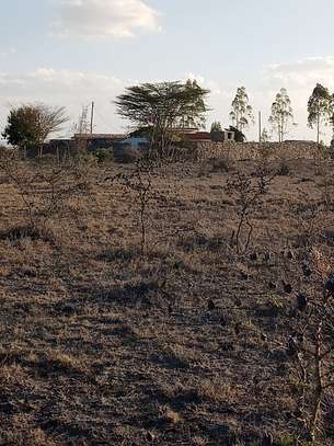 Mwalimu Farm plots image 10
