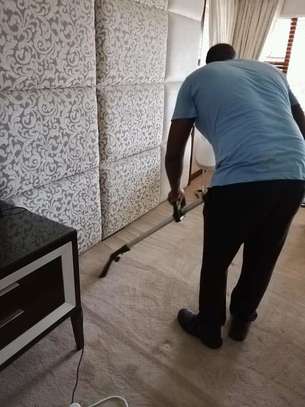 Need Affordable cleaning, Gardening or Junk Removal ? Get A  Free Quote .Call now image 2