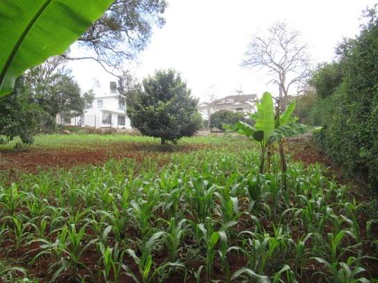 Residential Land at Karen Hardy image 12