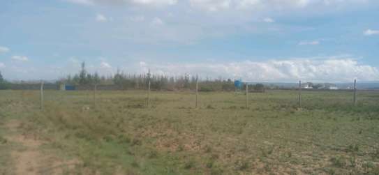 Prime and affordable plots image 3
