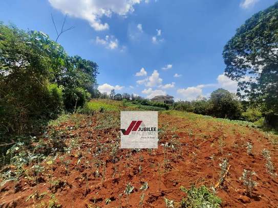 0.5 ac Residential Land in Thome image 10