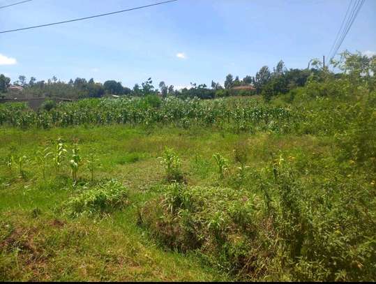 A Half Acre plot for sale at Clay City, Kasarani image 1