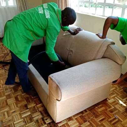 Couch and seats cleaning - For offices and Homes image 1
