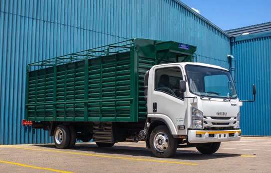 Isuzu NQR 81  Brand New image 4