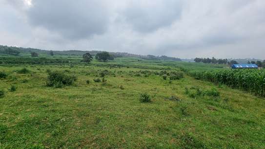Land in Limuru Town image 1
